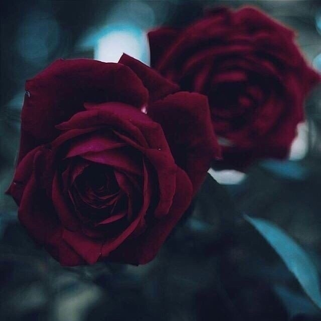 Чистая совесть ни лжи не боится, ни слухов, ни сплетен.