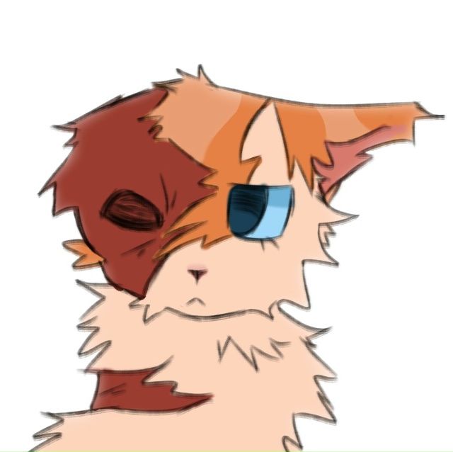 Как напугать официальных художников «Котов-Воителей»
...