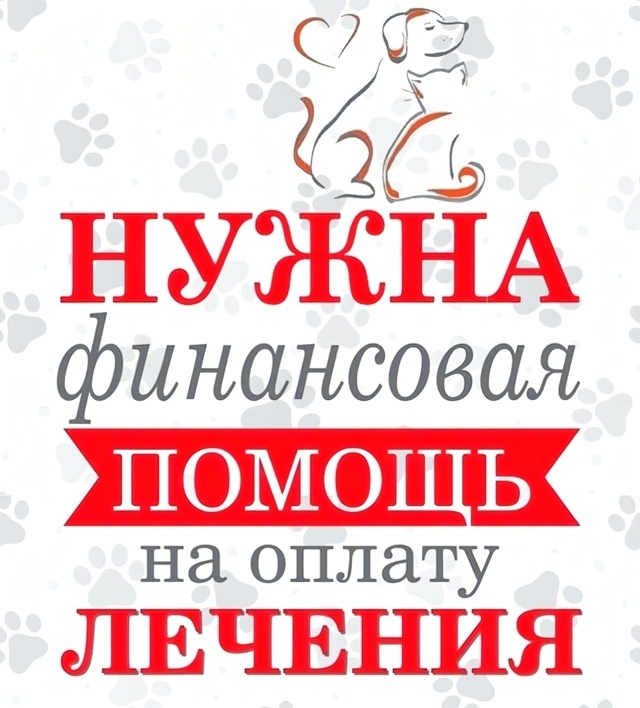 Друзья!
КАТАСТРОФИЧЕСКИ СРОЧНО!
Мы снова к вам с прось...