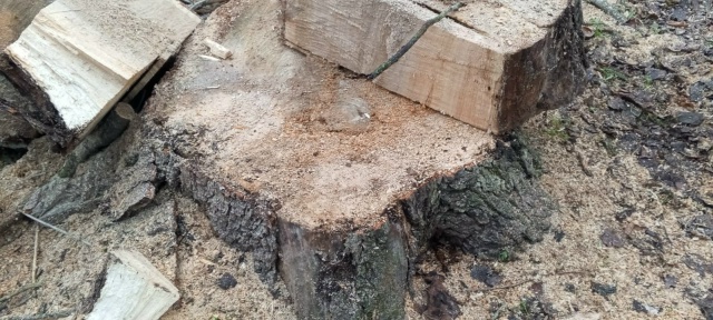 Ну кто же выпиливает по городу никому не мешающие двух?...