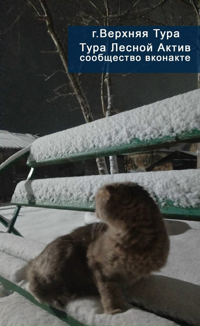 В города Свердловской области наконец пришла зима! Фот...