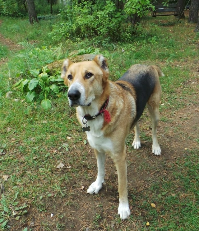 Спб и Ленобласть!
Кай в ожидании своего Человека!
Истор...