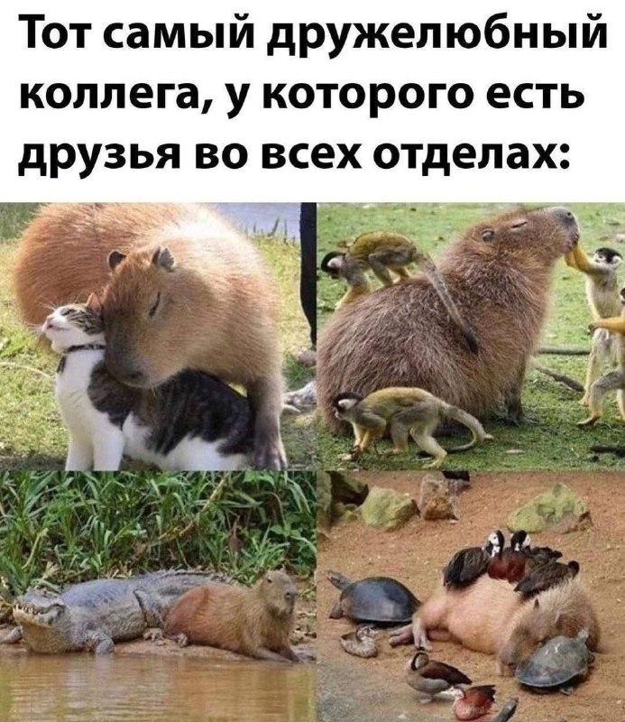 Перешли 😄