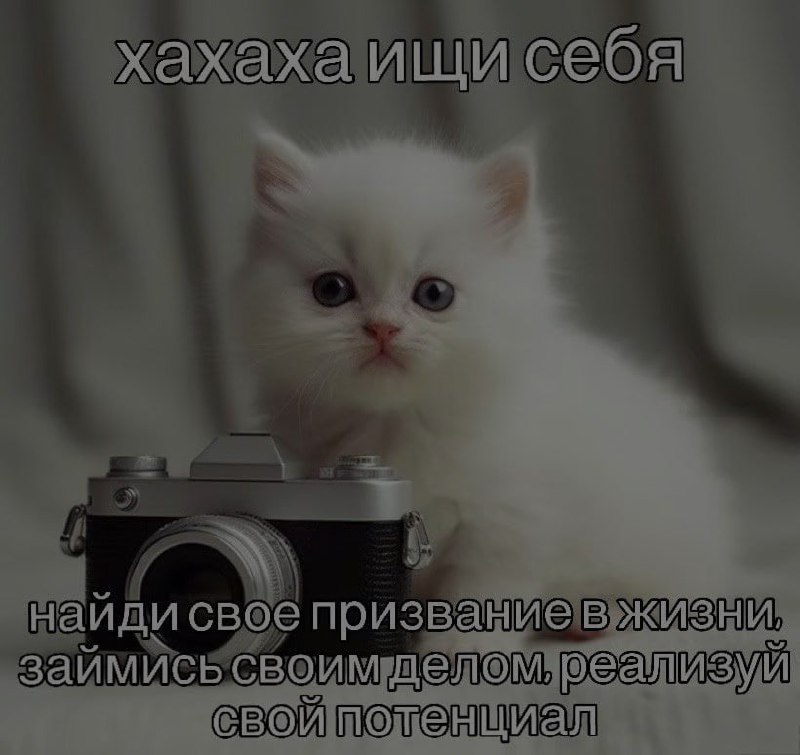 Ночная подборочка
Спать, режим