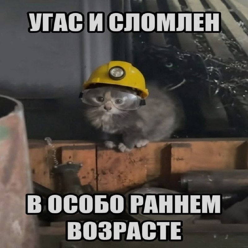 Ночная подборочка
Спать, режим