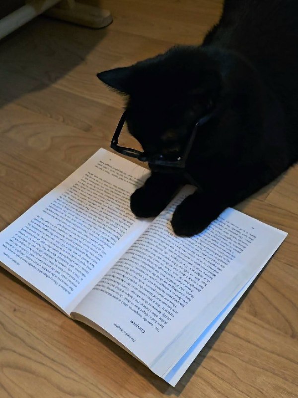 По маим расчётам мы больше не можем содержать тебя, чиловек
