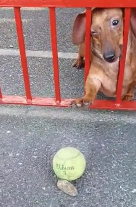 Он же его достанет, да?