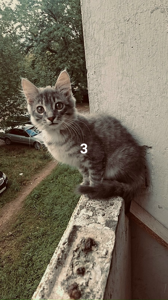 #потерялиНашлиПомогите
1 ПОСМОТРИТЕ ВНИМАТЕЛЬНО МОЖЕ...