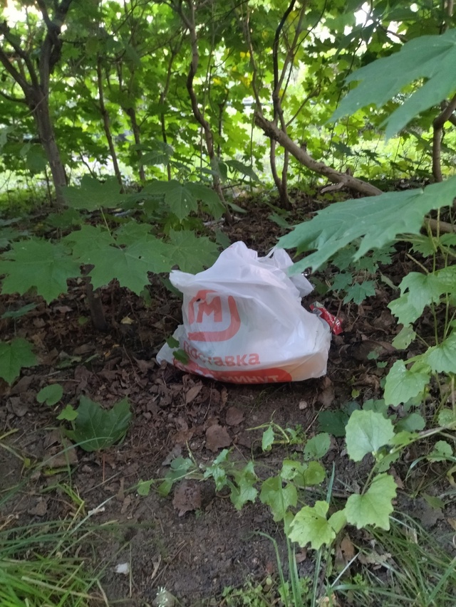 Что за быдло постоянно оставляет свой мусор под кустам...