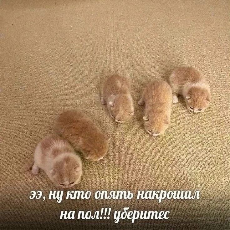 Утренняя подборочка