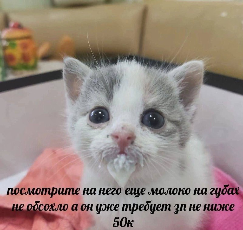 Утренняя подборочка