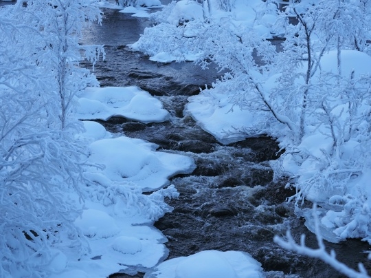 Ледяные узоры Мурманской области 💙
Фото: Ольга Липи?...