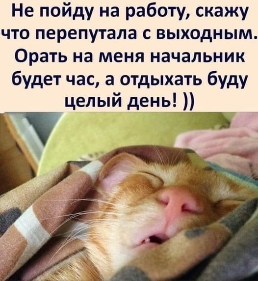 Всем доброго утра и хорошего дня!
Часто по утрам посещ...