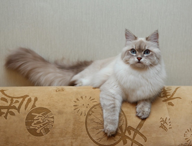 Красавица наша ?