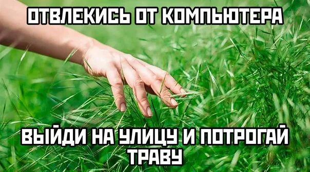 Выйти и потрогать траву — реально спасает от депресси?...