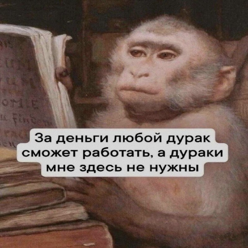 Ночная подборочка
Спать, режим
