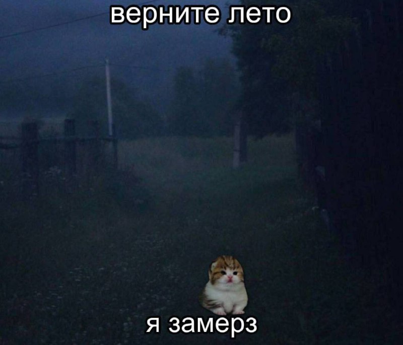 Утренняя подборочка