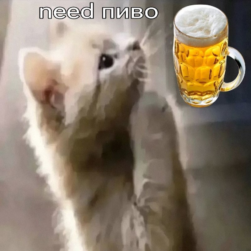 Утренняя подборочка