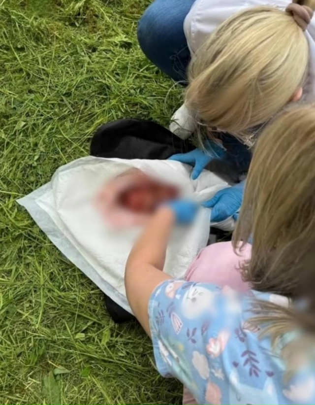 😳Во время уборки территории, сотрудники управляющей ?...