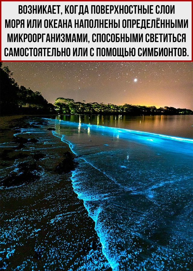Всё-таки, природа - удивительная штука.