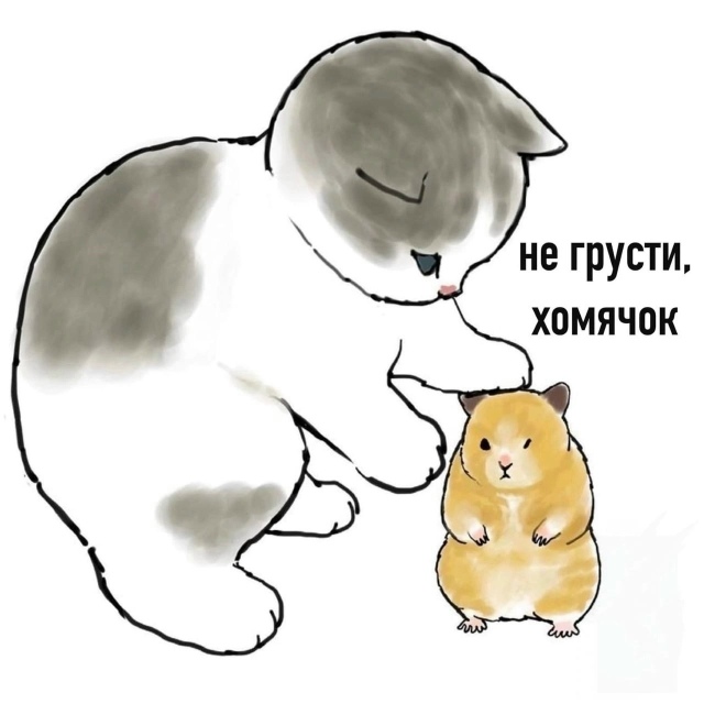 Минутка поддержки.