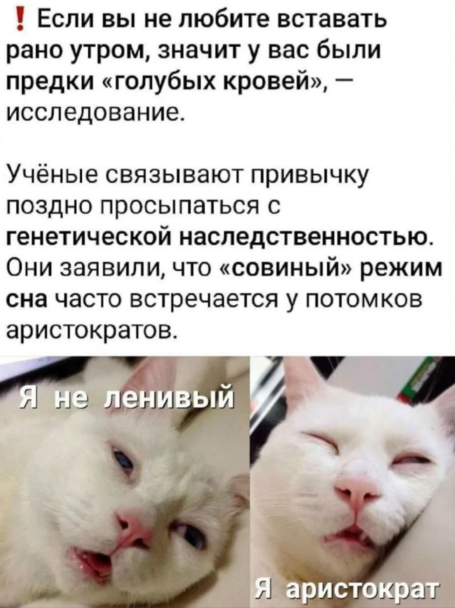 С добрым утром, аристократы.
Узнали себя? Да тут все по?...