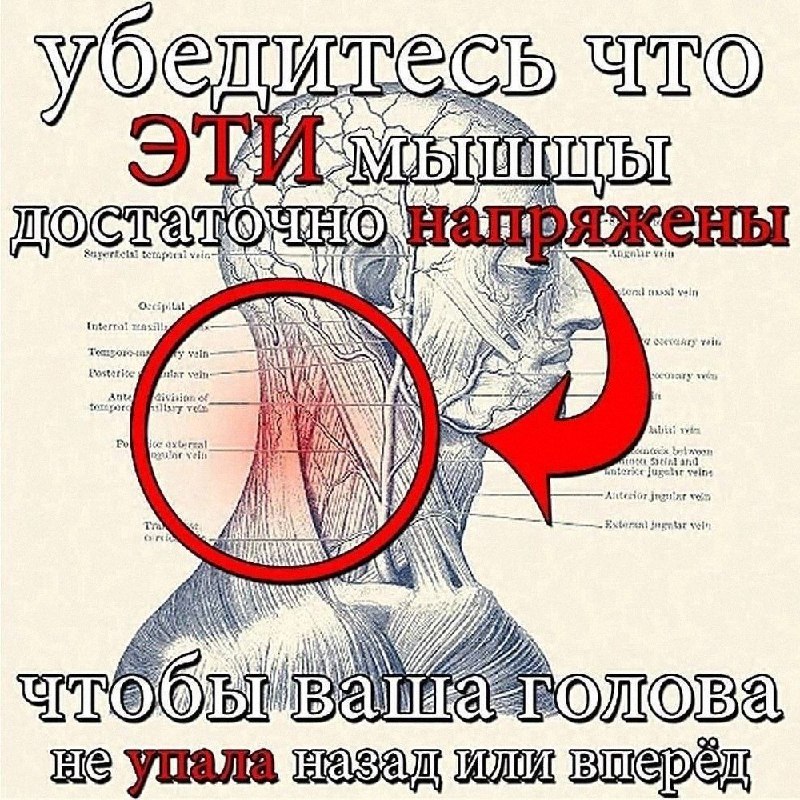 Утренняя подборочка