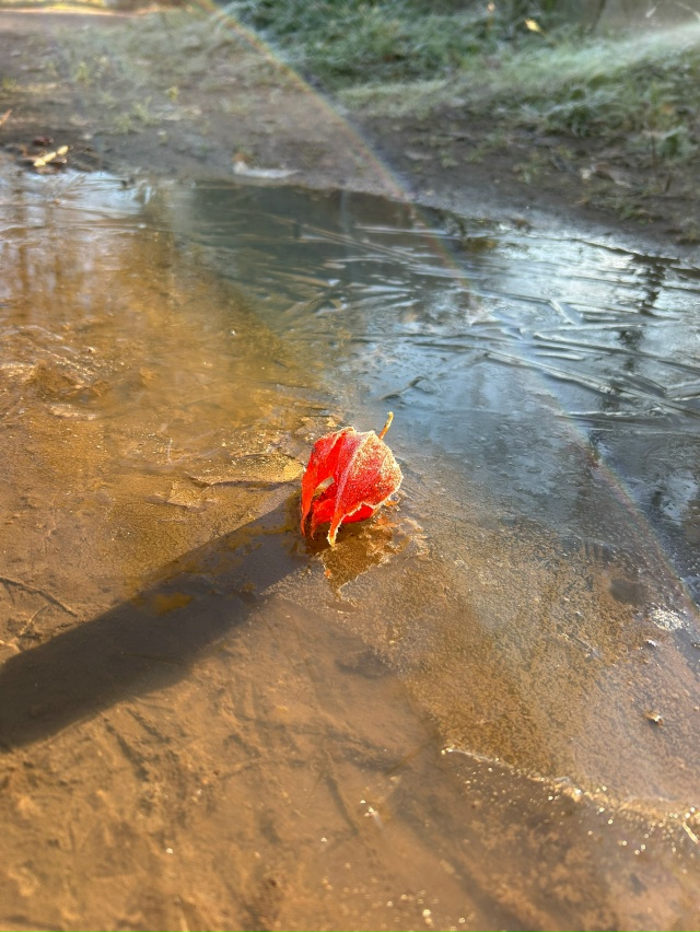 Доброе утро, Окуловка!