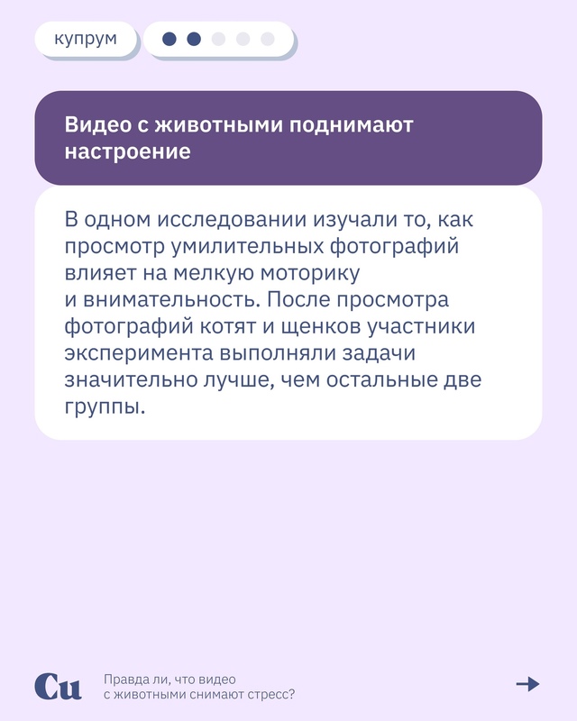 🐶🐱 «Ну какая прелесть! Какой хорошенький!»
А что вам ...