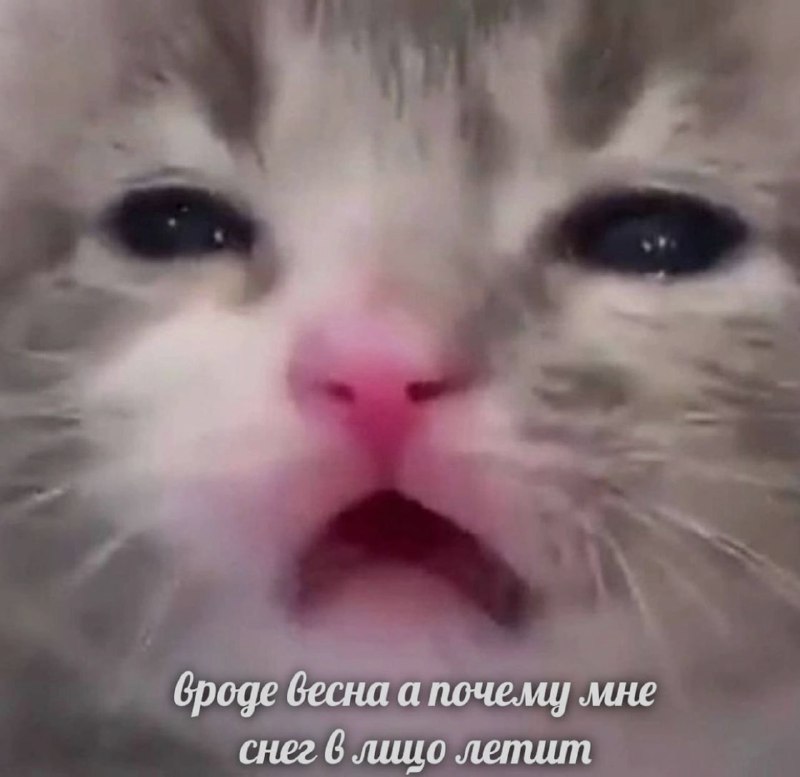 Ночная подборочка
Спать, режим