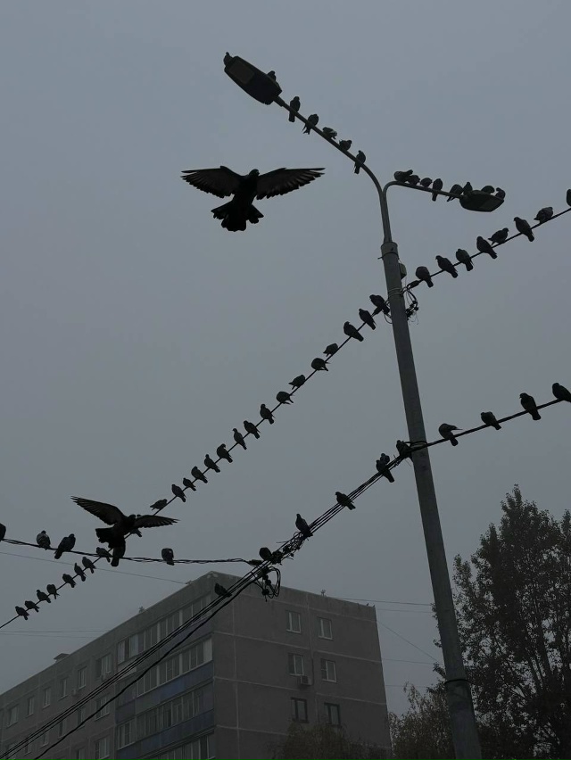 Утренняя красота 🍁