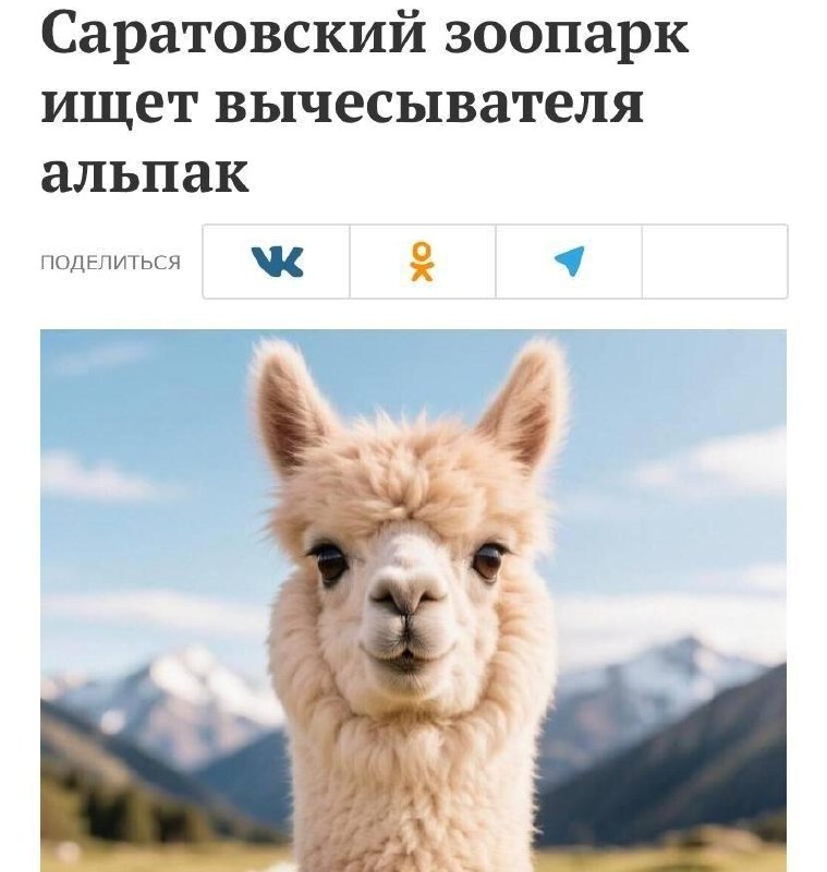 В Саратове ищут вычесывателя альпак с зарплатой 80 тысяч рублей.
Работать нужно четыре дня в недел