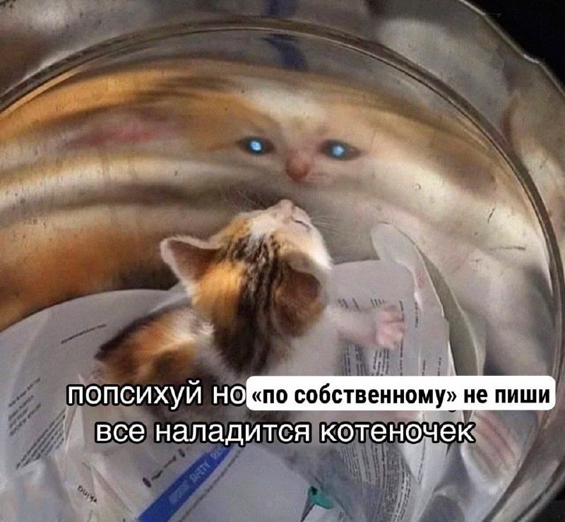 Утренняя подборочка