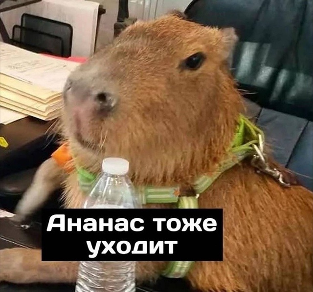 Настроение на работе в понедельник