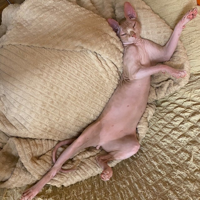 ?Мэджик ✨ Часть 1