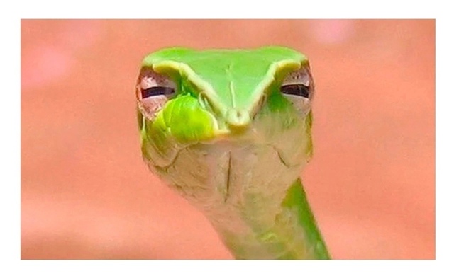 Очень важный совет.