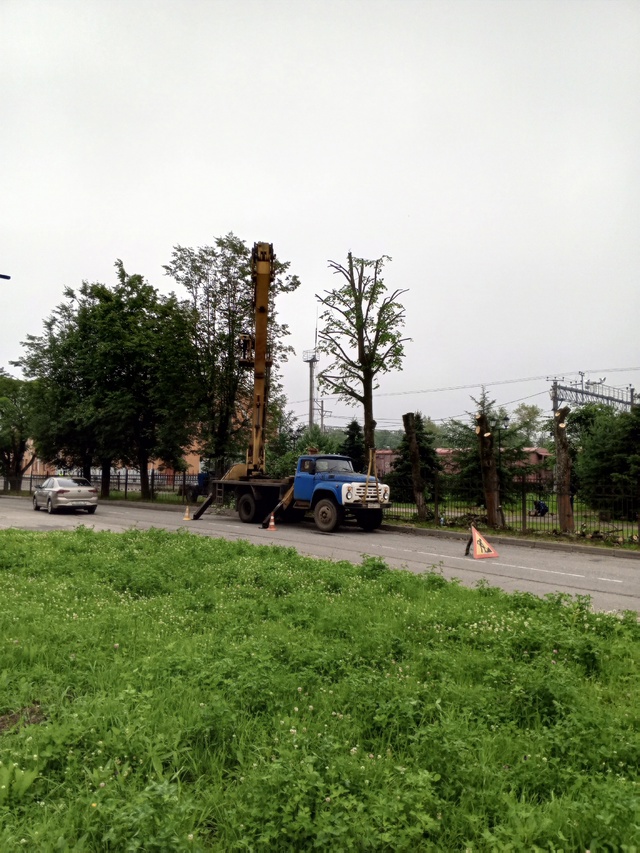 Работа кипит (( Последний островок зелени в центре горо...