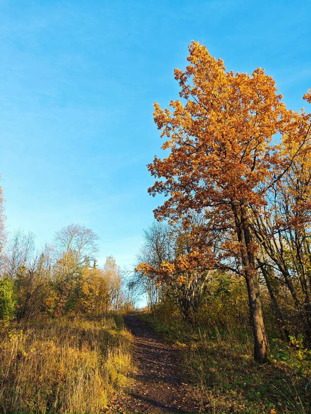 Доброго утра, Никольск❤