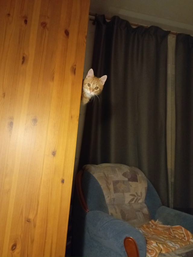 Ку-ку! Я Сима!