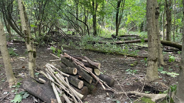 #СмоленскиеДеревья
Я снова к вам, друзья, с просьбой.
С...