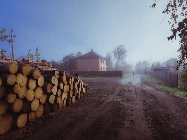 У Т Р Е Н Н И Е 🍂
#Мобильнаяфотография Huawei P60 Pro