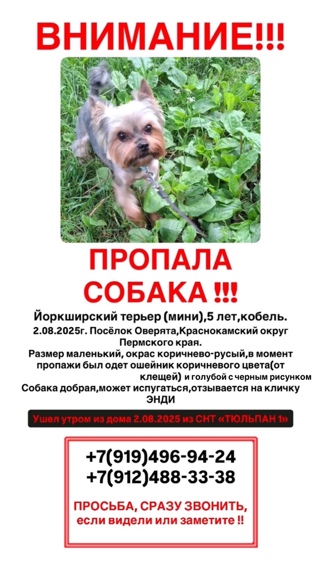 ОГРОМНАЯ ПРОСЬБА‼️‼️‼️
помогите пожалуйста найти!...