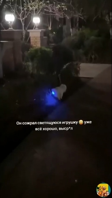 Включил задний поворотник так скажем!