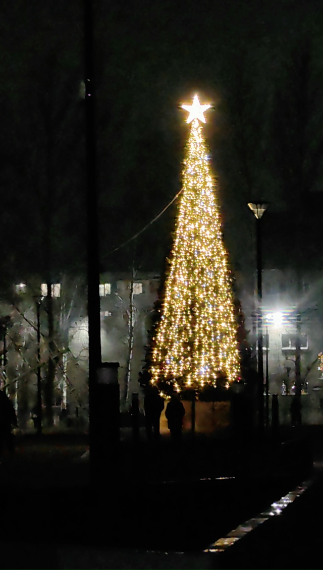 Елка в 1 МКР