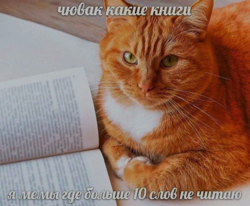 Ночная подборочка
Спать, режим