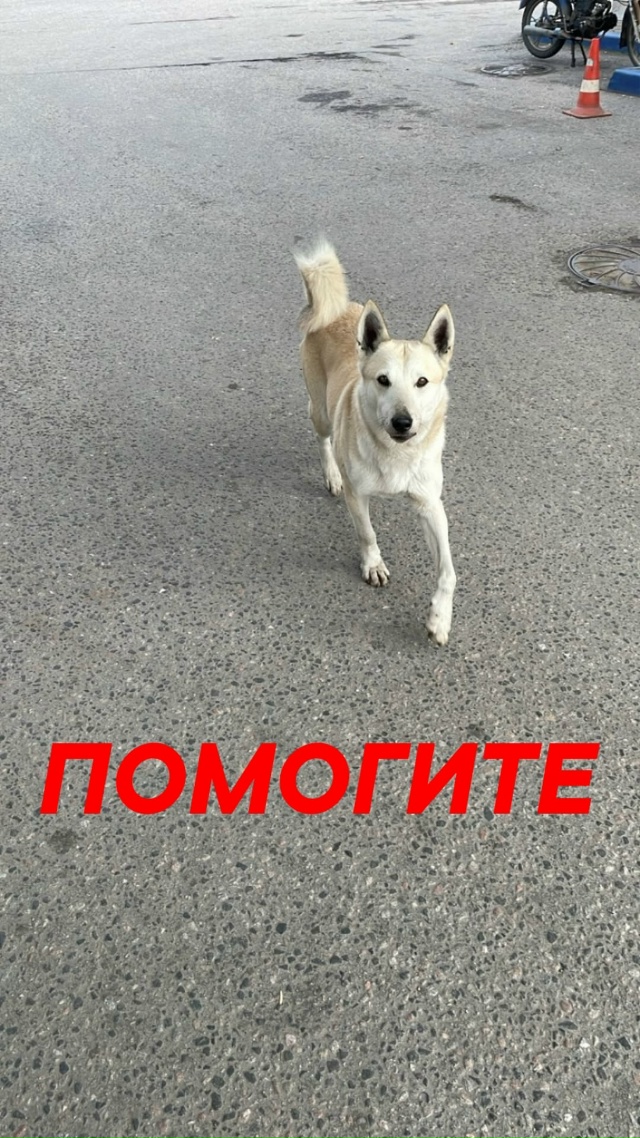 Пропустите, пожалуйста
🆘️🆘️🆘️🆘️🆘️🆘️🆘️🆘️?...