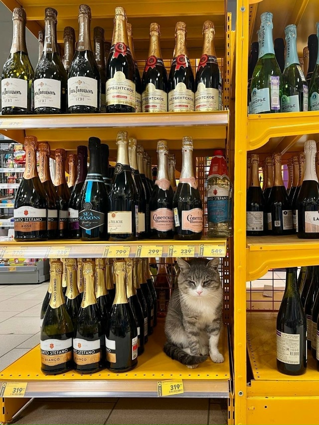 Кому-то хочется 