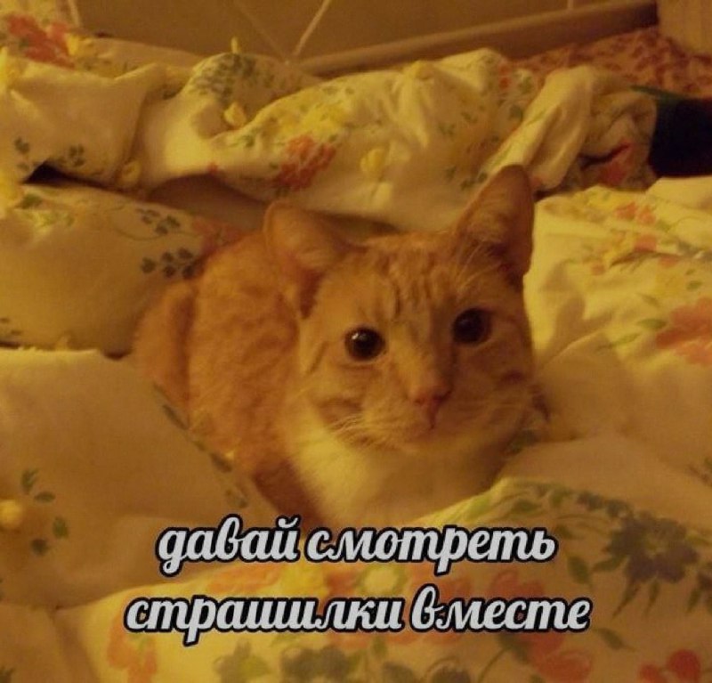 Ночная подборочка
Спать, режим