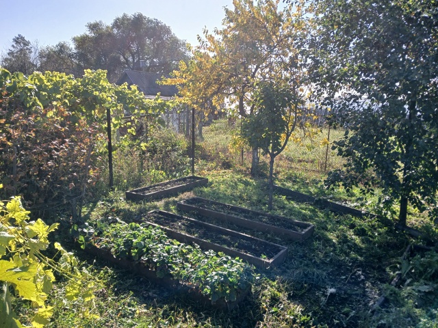 Продаётся сад 4.9 сотки с домиком 20 кв.м., ухоженный, рядо...