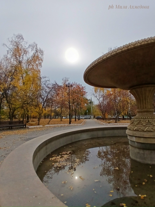 Красота в глазах смотрящего
Портпоселок 🍁🍂
Фотогра...